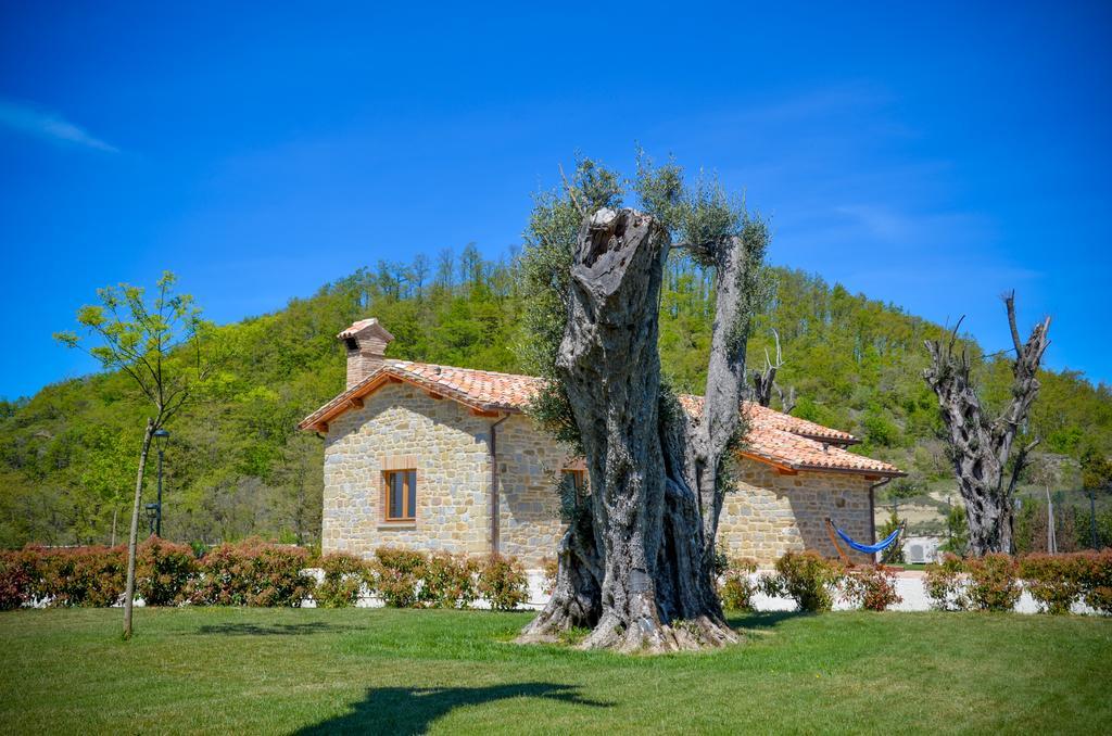גוביו Tenuta Borgo Santa Cecilia מראה חיצוני תמונה